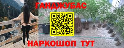 соль ск Ипатово