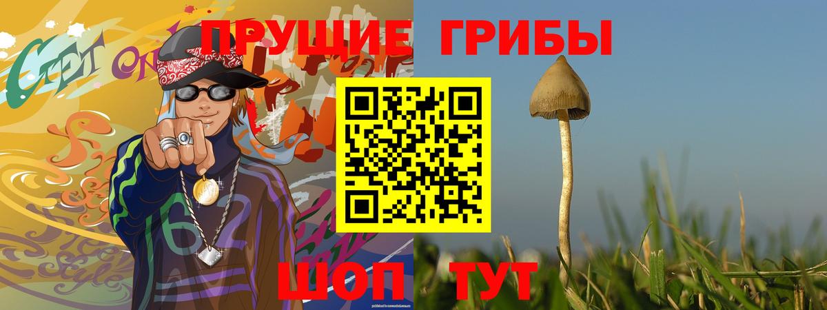 Псилоцибиновые грибы MAGIC MUSHROOMS Кузнецк